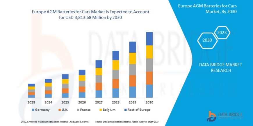 Europe AGM Batteries for Cars Market: Trends and Growth Opportunities