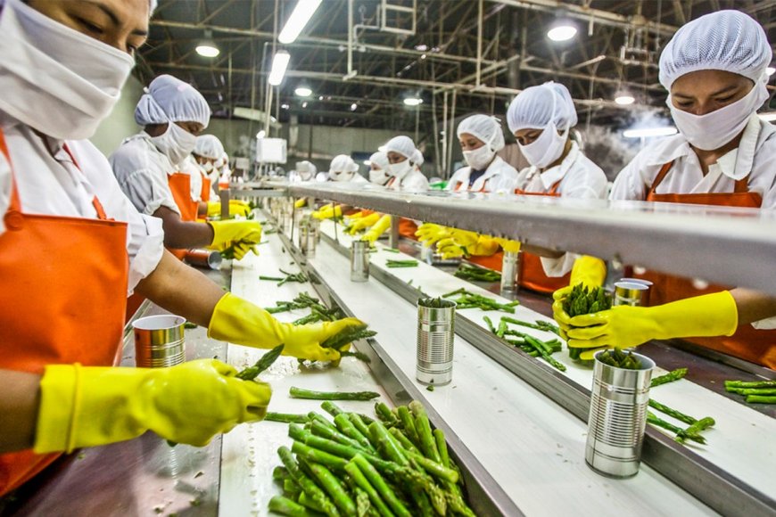 Business Plan to Setup a Food Processing Plant: Project Report 2025