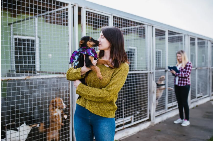 Support for Local Animal Shelters | Pro American Roofing