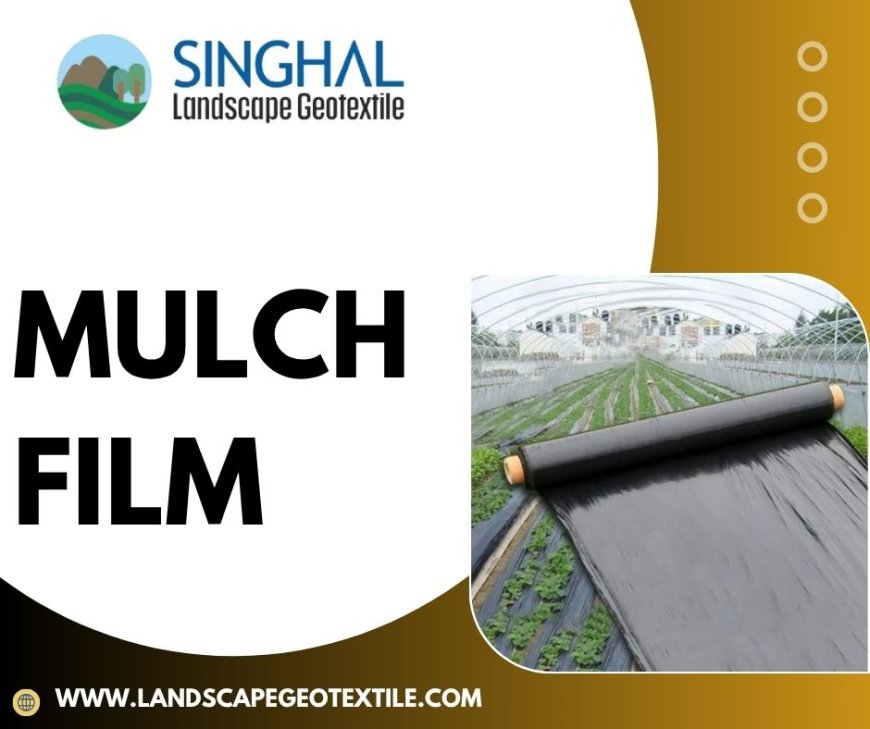  Mulch Film: The Strategic Importance of Advanced Crop Development