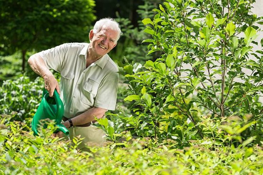 How Seniors Can Navigate Life After Retirement