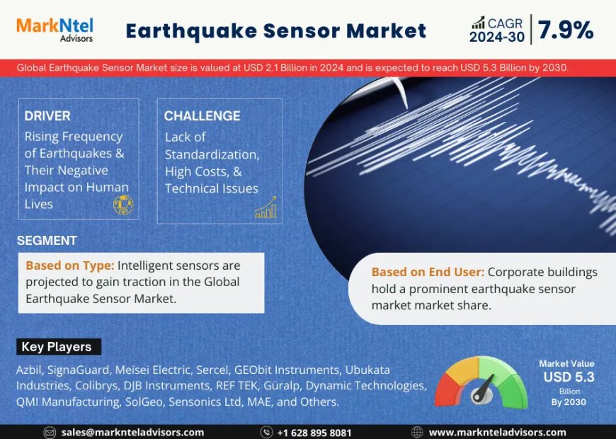 Leading Earthquake Sensor Market Companies: Trends, Key Players & Outlook 2025