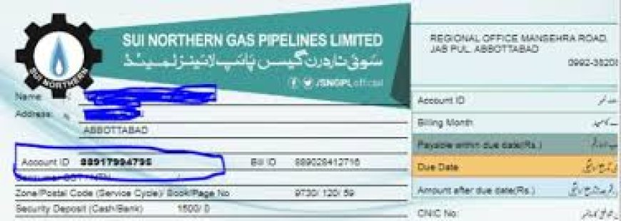 How to Easily Perform a Sui Gas Bill Online Check from Anywhere in Pakistan
