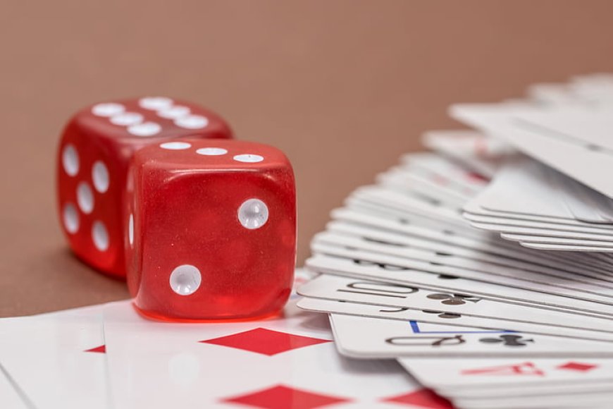 Exclusive 11xplay Bonuses for New Users – Claim Yours Now